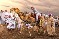 IUP SILVER MEDAL - CAMEL RACE 2 - MONTINI GIULIO - italy <div