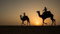 3 - CAMELS AT DAWN 2 - FILIAGGI NADIA - australia <div