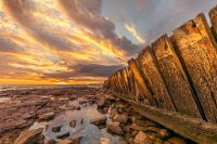 505 - EVENING GLOW - CHADWICK PENNY - australia <div