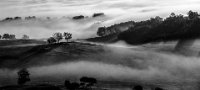 IUP HON.+ FAV.J5 - MORNING MIST IN THE INNER MONGOLIA - CHEN JIM - australia <div
