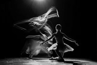 PSA HONOR - MOTION AND MOTIONLESS - LEE WOORHEE - korea <div