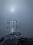 122 - MOONLIGHT - LEHTONEN KAUKO - finland <div