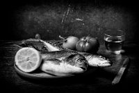159 - STILL LIFE WITH FISH - DUPOUY MICHEL - france <div