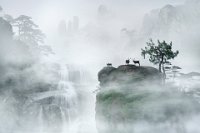 FCP GOLD MEDAL - MIST SHROUDED - HUANG YUNHUA - china <div