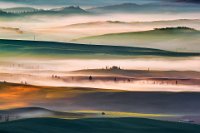 IUP HONOR - FOG ON THE HILLS NR 5 - TOMELLERI GIUSEPPE - italy <div