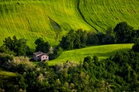 130 - HOUSE IN THE NATURE - GABERTHUEL WALTER - italy <div