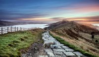 181 - MAMTOR ENGLAND - MOHANRAJ ARUN - united kingdom <div