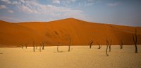 182 - DEAD VLEI - TEAR RON - united kingdom <div