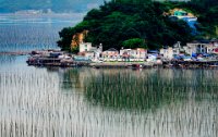 190 - FISHING TOWN - NGUYEN THINH - united states <div