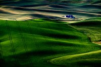 191 - PALOUSE FARM - NGUYEN THINH - united states <div