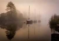 193 - MISTY MORNING ON THE RIVER FROME - PORTER GLENN - wales <div