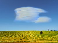 194 - FIELD WITH CLOUD - HAMMER PETER - australia <div