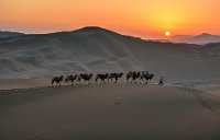 224 - SAND CARAVANS 3 - CHEN XINXIN - china <div