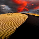 278 - DESERT CROSSING - LEANDRO SERRANO LUIS - spain <div