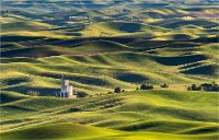 281 - GREEN FIELDS OF THE PALOUSE - HARDING RICHARD - united kingdom <div