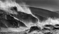 282 - WINDBLOWN - FRY MARTIN - united kingdom <div