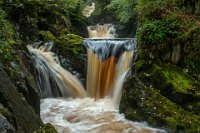 288 - PECCA FALLS, INGLETON - ALDERSON DAVID - united kingdom <div