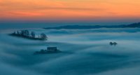 294 - INSELN IM NEBEL - STUETZ FRANZ - austria <div