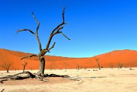 301 - MAY IN DEADVLEI - SIMON CLAUDE - belgium <div