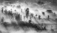 330 - EARLY MORNING MIST - NAGY LAJOS - romania <div