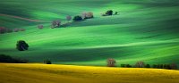 334 - SPRING LANDSCAPE - KREMENOVA LUBICA - slovakia <div