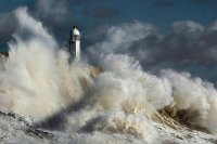 353 - THE RED WARNING - FRY MARTIN - united kingdom <div