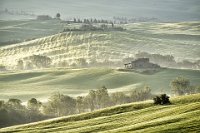 71 - BRUMES D'ORCIA - GUILLARD HELENE - france <div