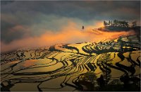 FAVORIT JURY 6 - TERRACED FIELD 18 - WAN YI - china <div