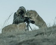 FIAP HONOR - CAMERAMAN IN DISTRESS - TONG JIANGCHUAN - china <div