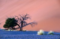 14 - DESERT DU NAMIB - DE GUSSEM LOUIS - belgium <div