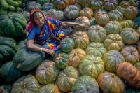 193 - PUMPKIN LADY 2 - TEO CHIN LEONG - japan <div