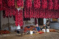 214 - PREPARATION OF WINTERING - GORUP VLASTA - slovenia <div