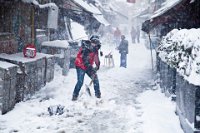 218 - LIVING UNDER THE SNOW - KUZEL ARMAN - turkey <div