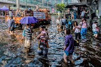 61 - TRANSPORT DANS BANGKOK INONDE - TISSIER JEAN-PIERRE - france <div