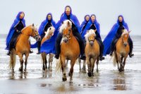 128 - LADYS IN BLUE - GRIEPENTROG HANS-WERNER - germany <div