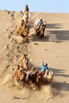 157 - CAMEL RACE - DUBOIS STEEVE - mauritius <div