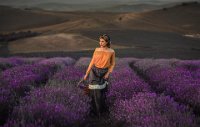 166 - LAVENDER FIELDS - ADRIAN STOICA - romania <div