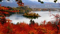 324 - AUTUMN IN BLED - BEGUS JANEZ - slovenia <div