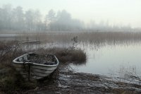 329 - MISTY MORNING - ALMEN ANNA - sweden <div