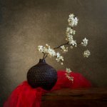 413 - STILL LIFE WITH RED HANDKERCHIEF - NABZDYK IWONA - poland <div