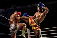 485 - BOXING6 - TAM CHAN IEONG - macau <div