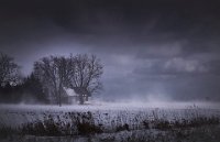 61 - COTTAGE IN THE SNOW  2 - GAO YUNHU - china <div