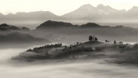 195 - FOGY MORNING - GORTNAR STANE - slovenia <div