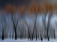 107 - MAGIC FOREST - RACKI NEDA - croatia <div