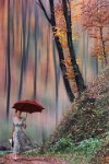 21 - WITH RED UMBRELLA - ZEMAN MATO - croatia <div