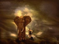 261 - CLEAN THE ELEPHANT  CORONA - DE VRIND TON - netherlands <div