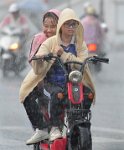 281 - RAIN 50 - HO NGOC SON - vietnam <div