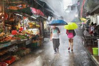 288 - STRONG RAIN - LEONG IM KAI - macau <div