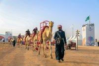 90 - CAMEL ROAD - ALMUAALEMI MOHAMMED - yemen <div