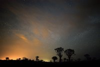 135 - SILHOUETTE DE NUIT - VEKEMANS MURIEL - belgium <div